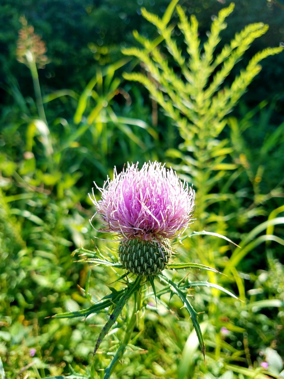 20200824_103449.jpg
