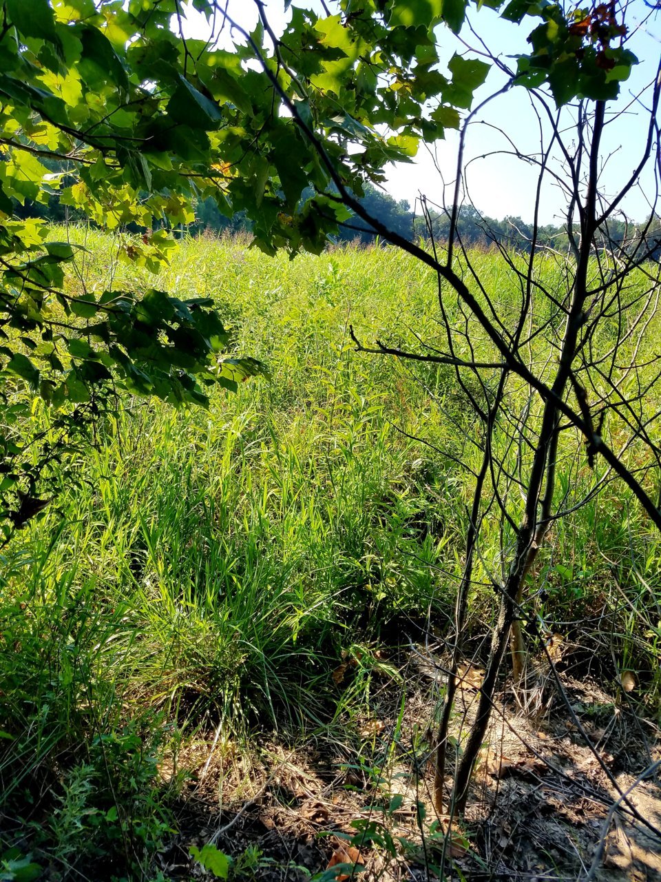 20200824_142805.jpg