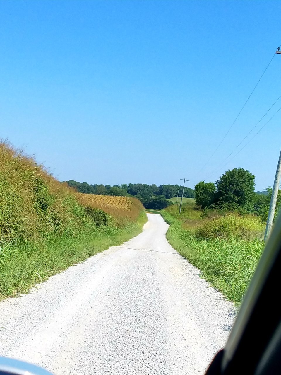 20200824_142825.jpg