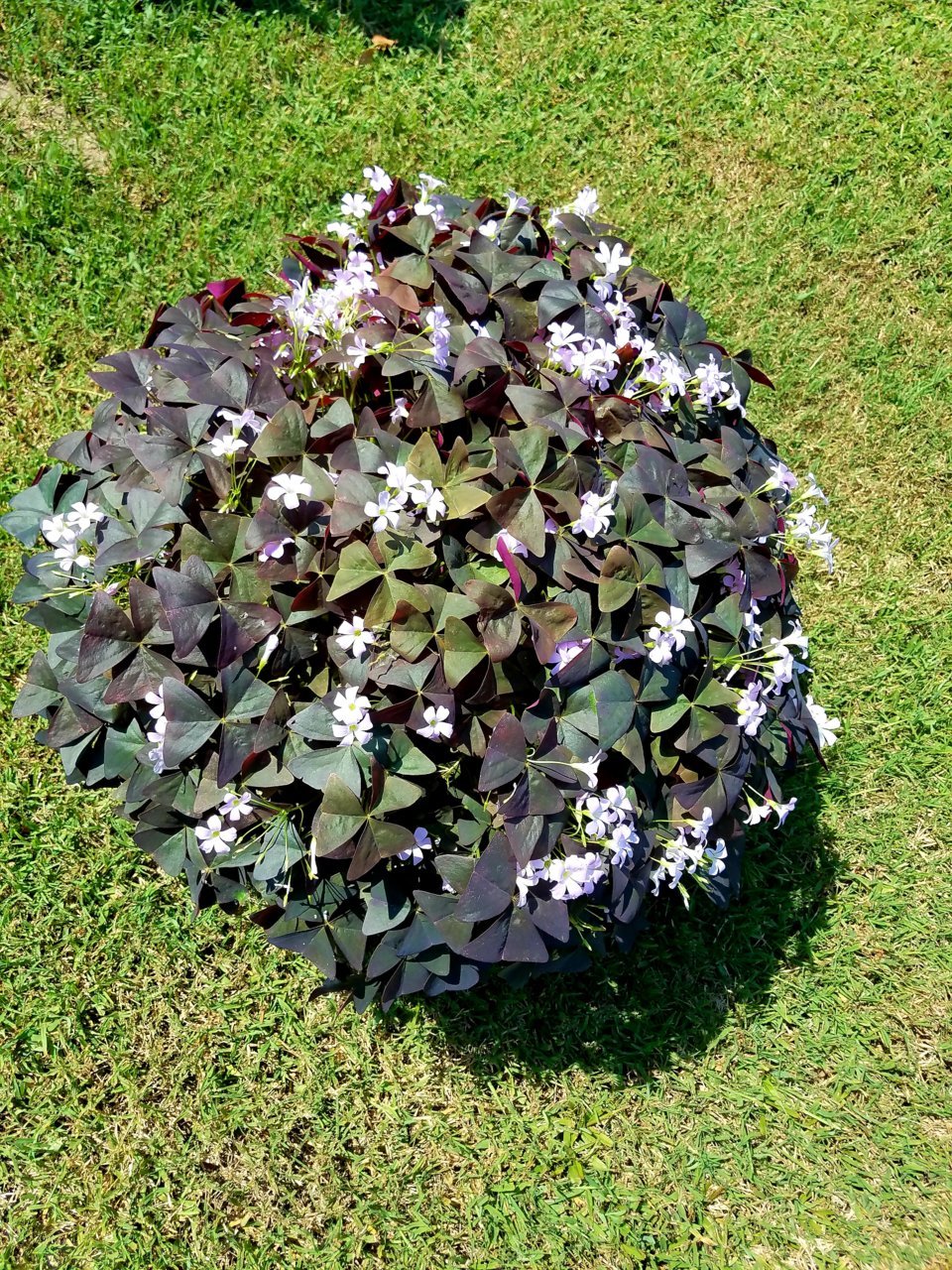 20200824_143002.jpg
