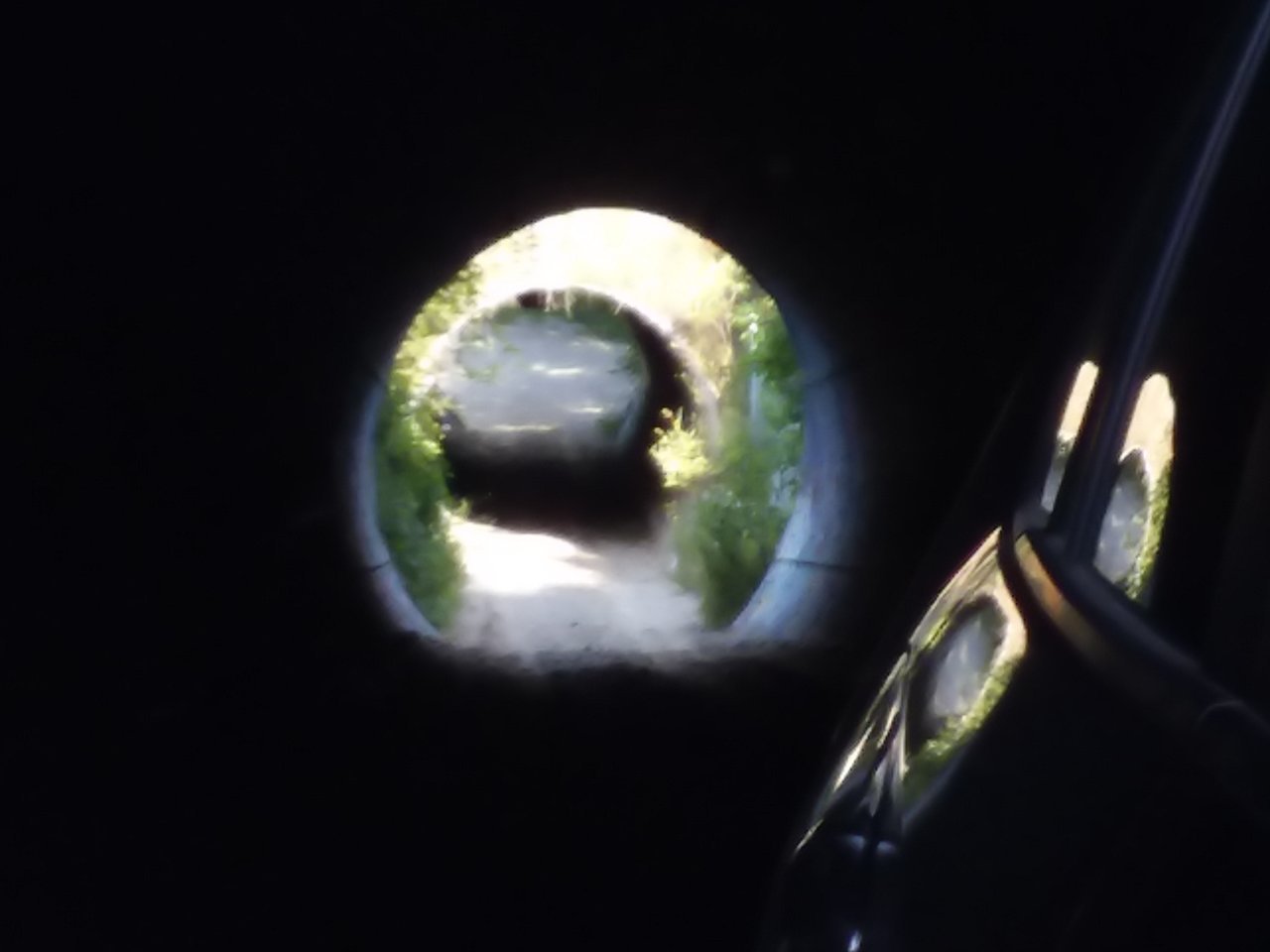 20200824_170239.jpg