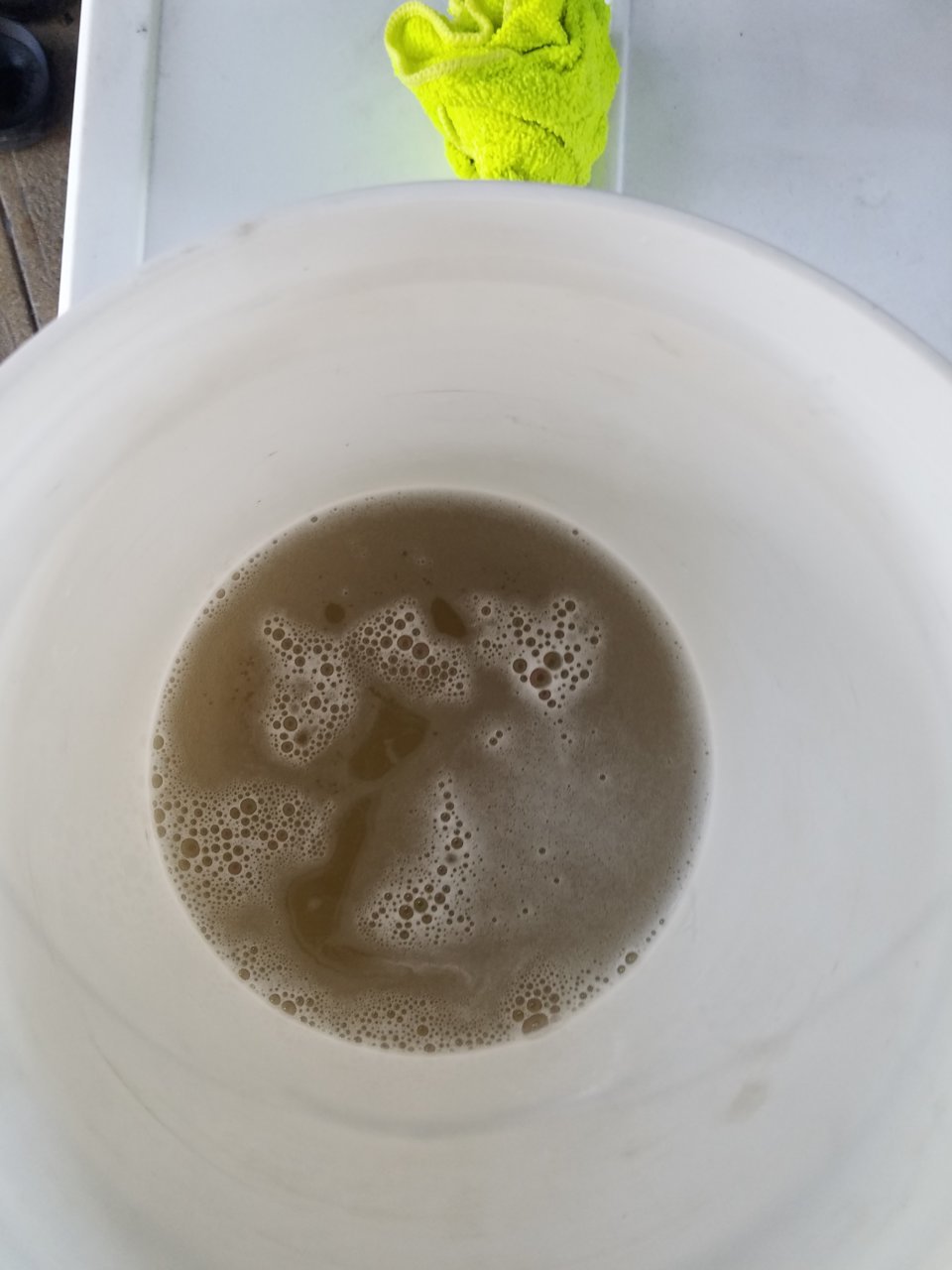 20200826_130615.jpg