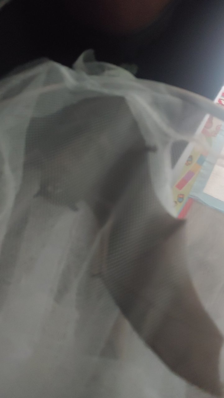 20200827_152555.jpg