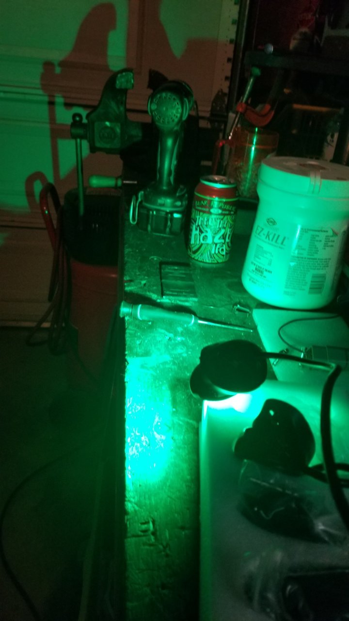 20200827_191210.jpg