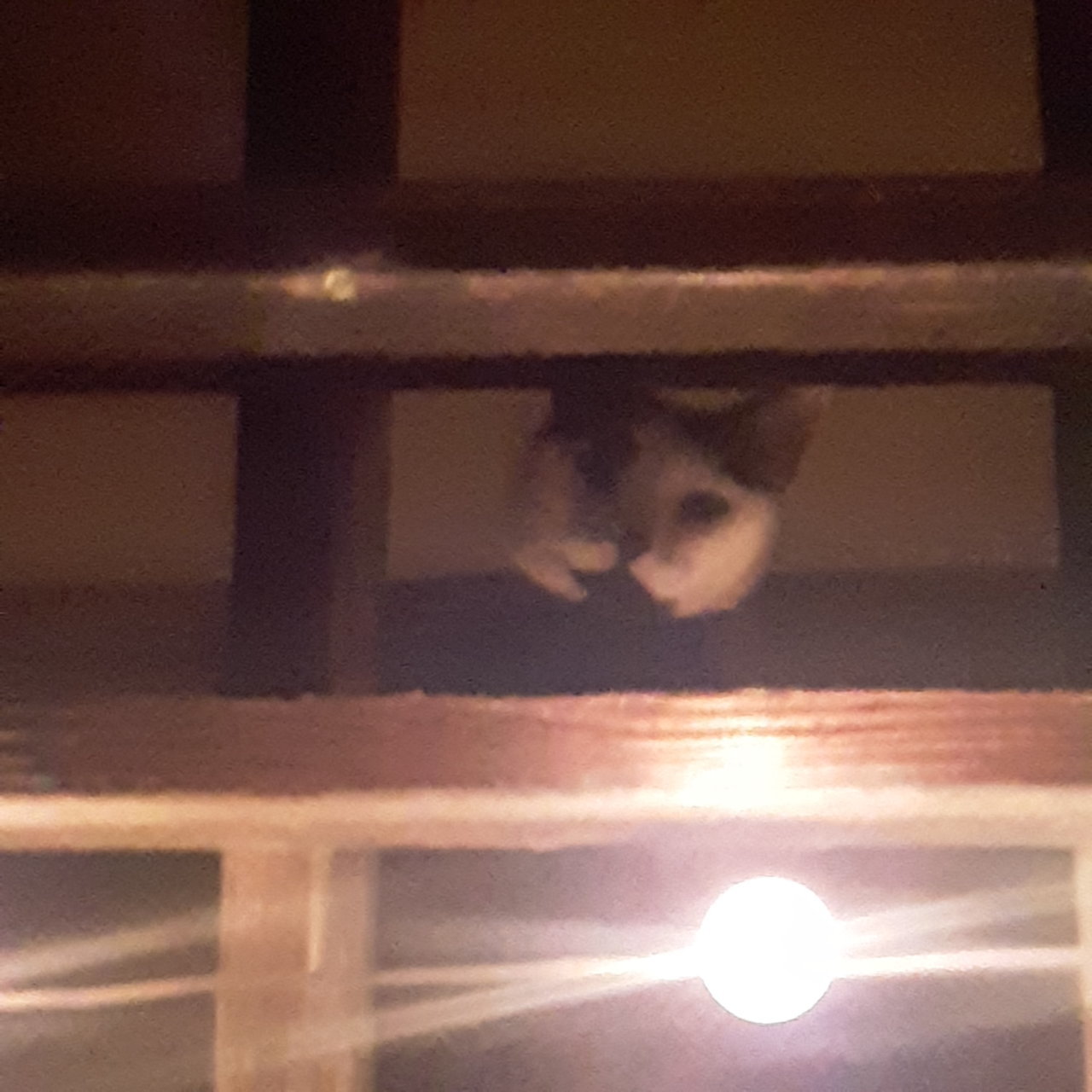 20200828_212127.jpg