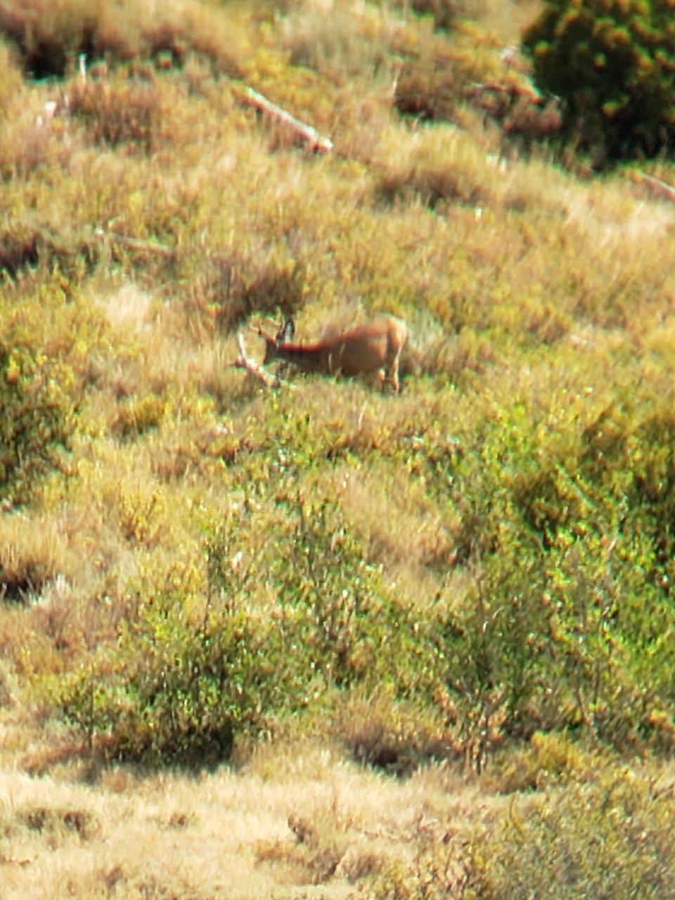 20200829_094550.jpg