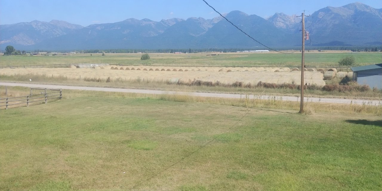 20200830_143530.jpg