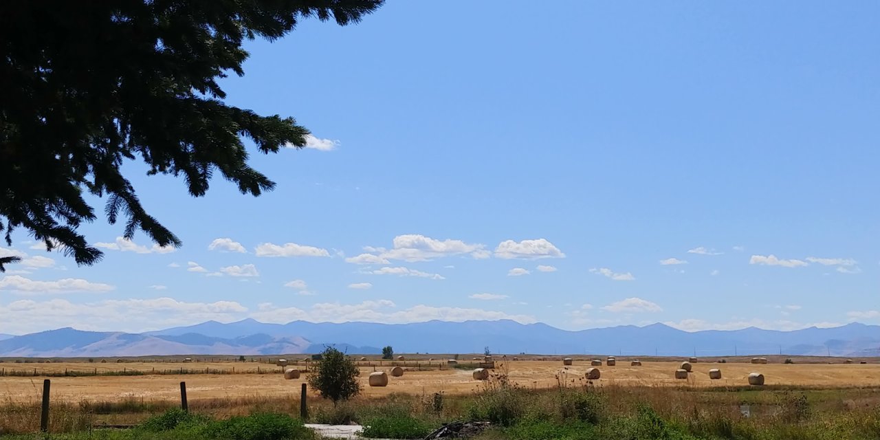 20200830_143732.jpg