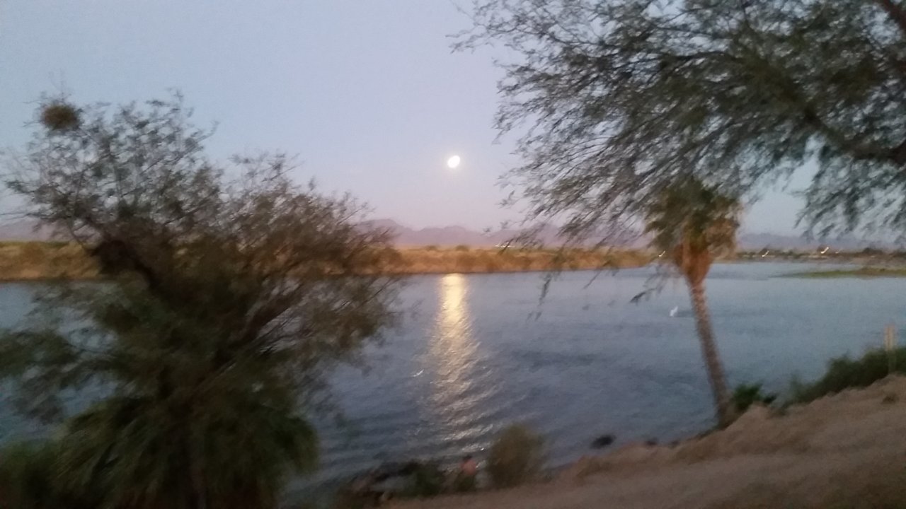 20200831_192255.jpg