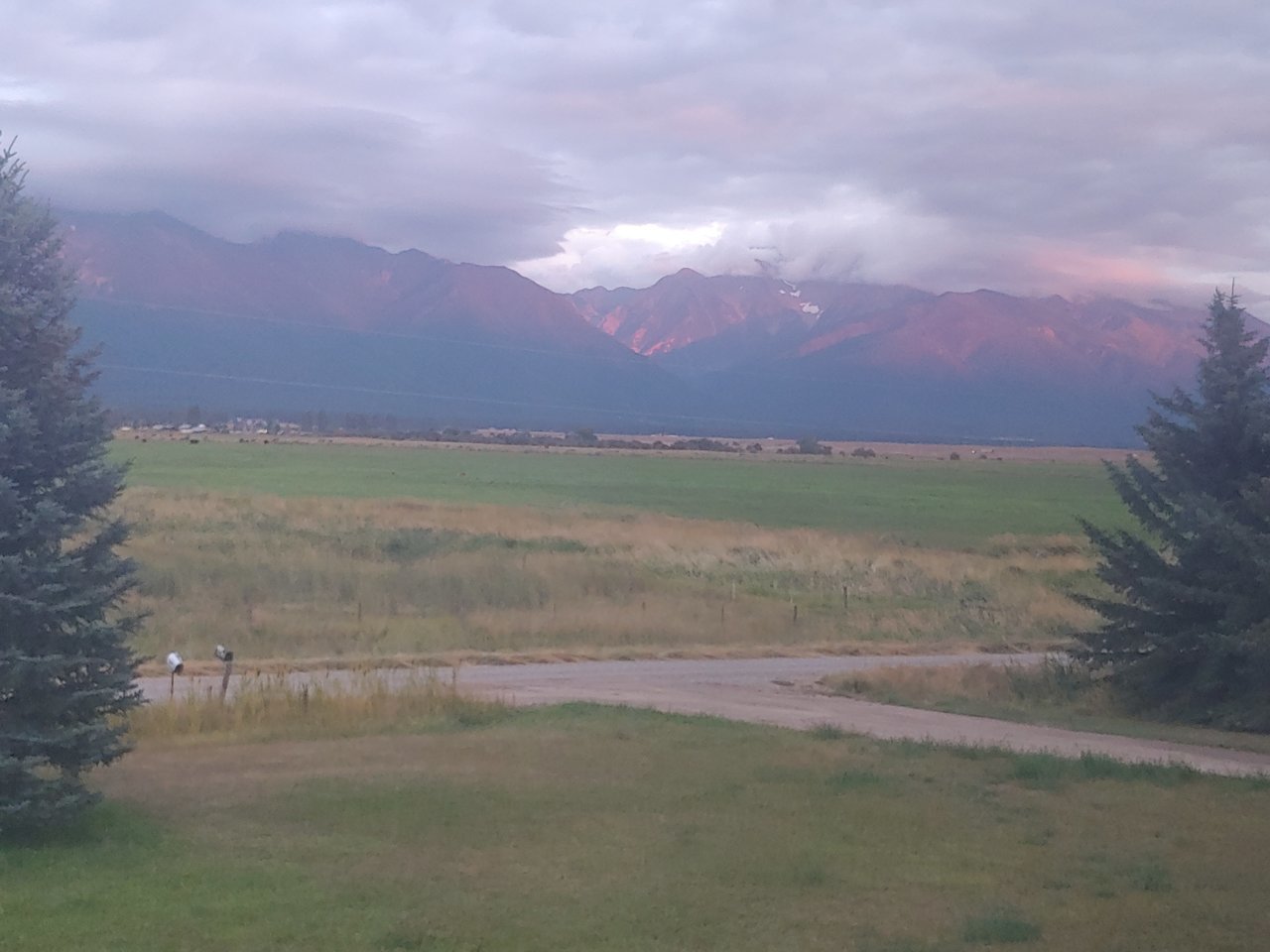 20200831_201538.jpg