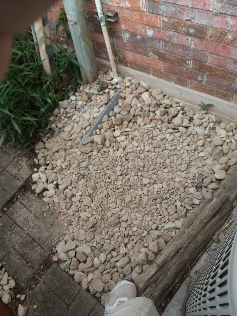 20200901_112801.jpg