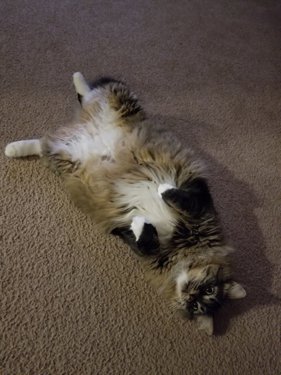 20200901_223439.jpg