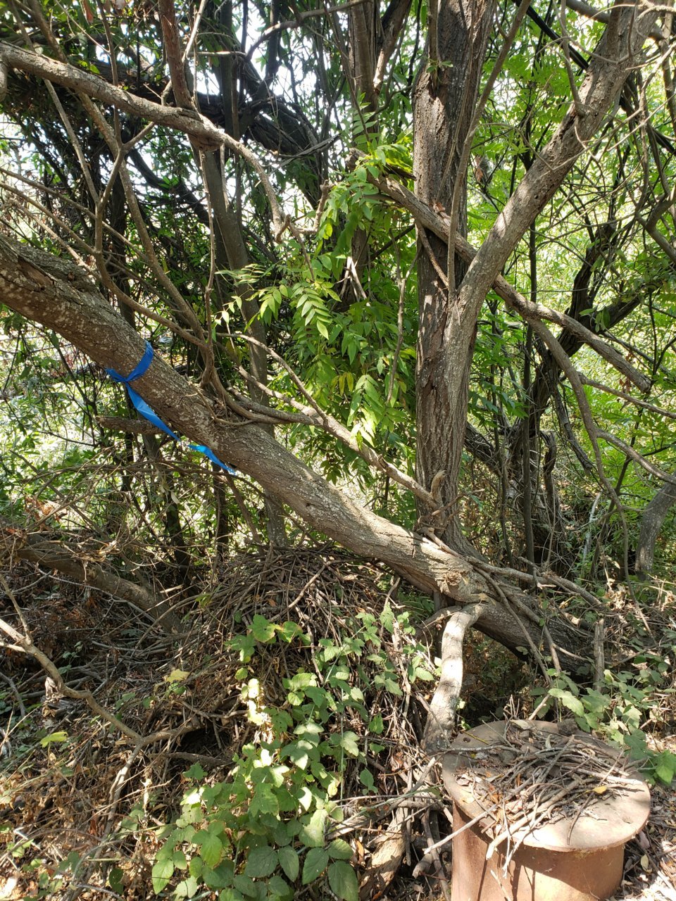 20200902_132407.jpg