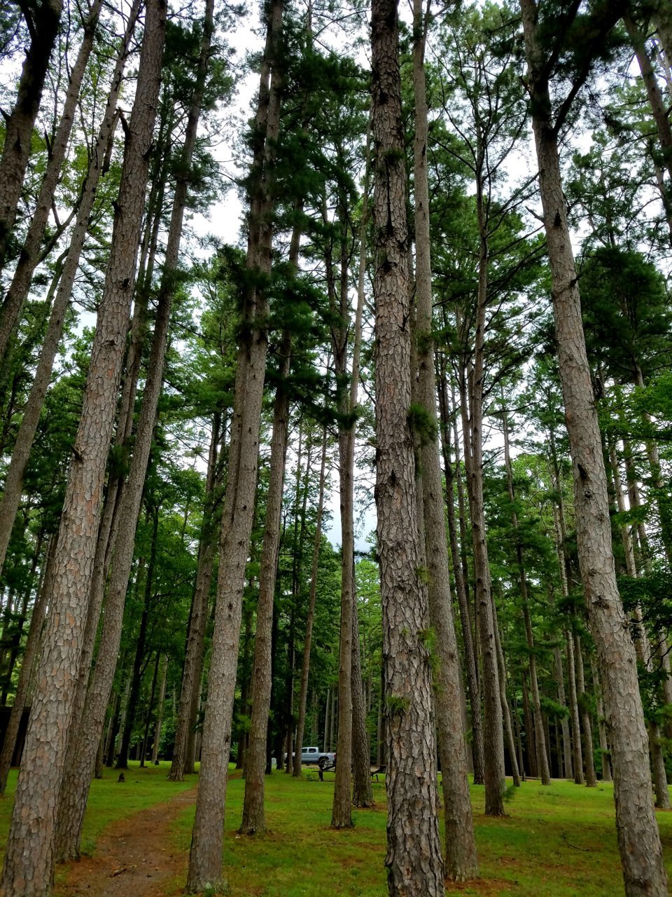 20200902_211238.jpg