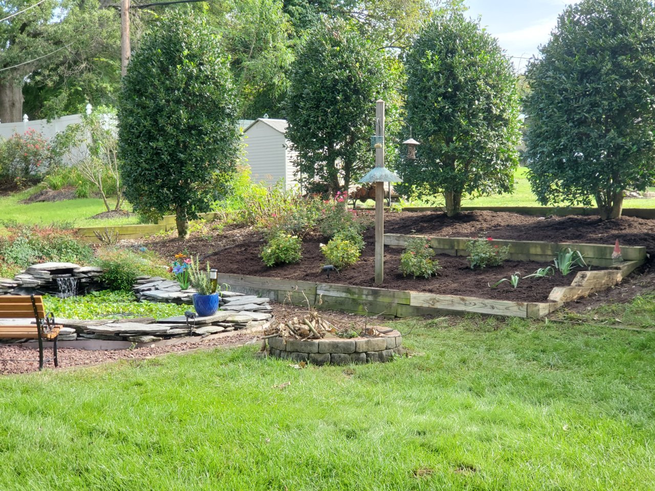 20200903_093127.jpg