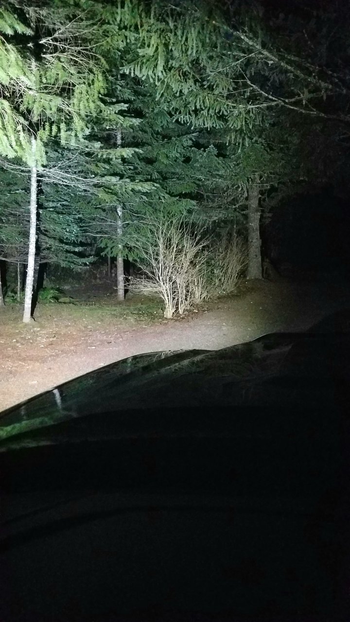 20200903_213842.jpg