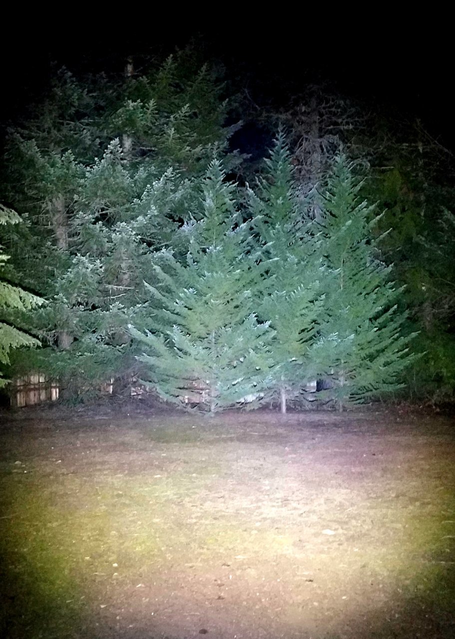 20200903_213958.jpg