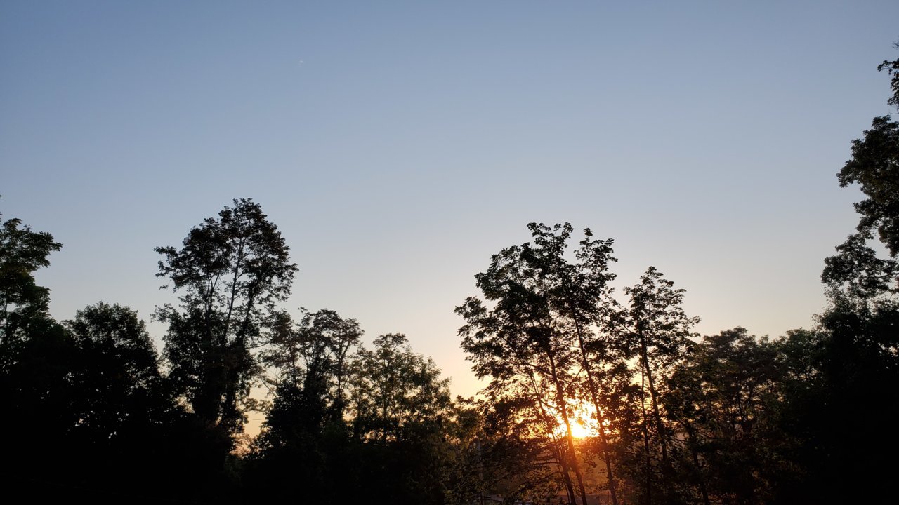 20200904_064126.jpg