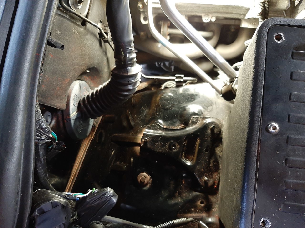 20200904_142926.jpg