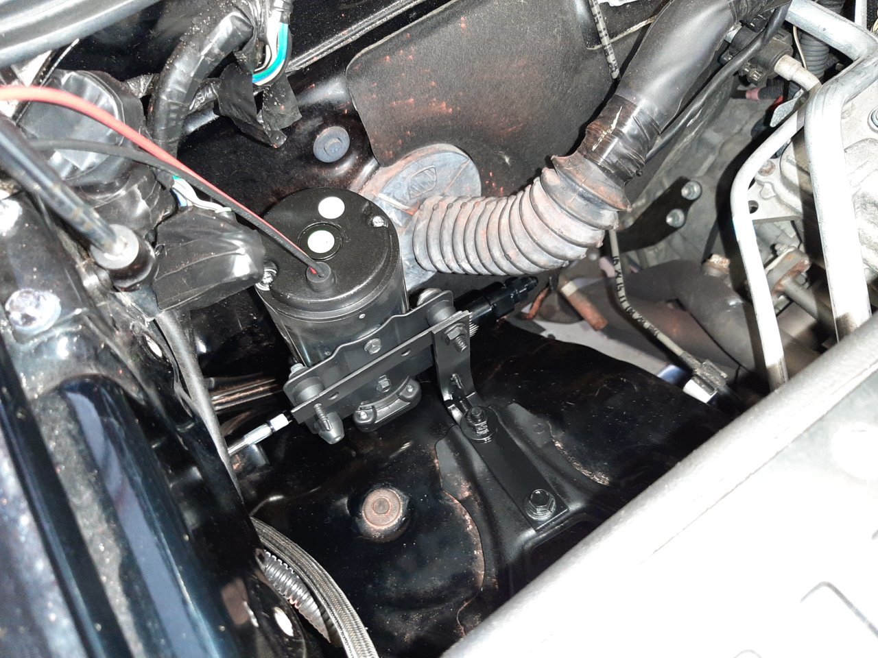 20200904_144919.jpg