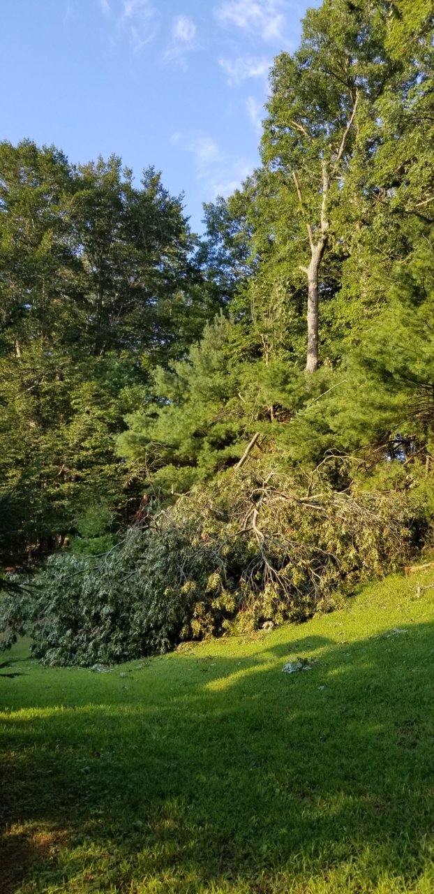 20200904_182621.jpg