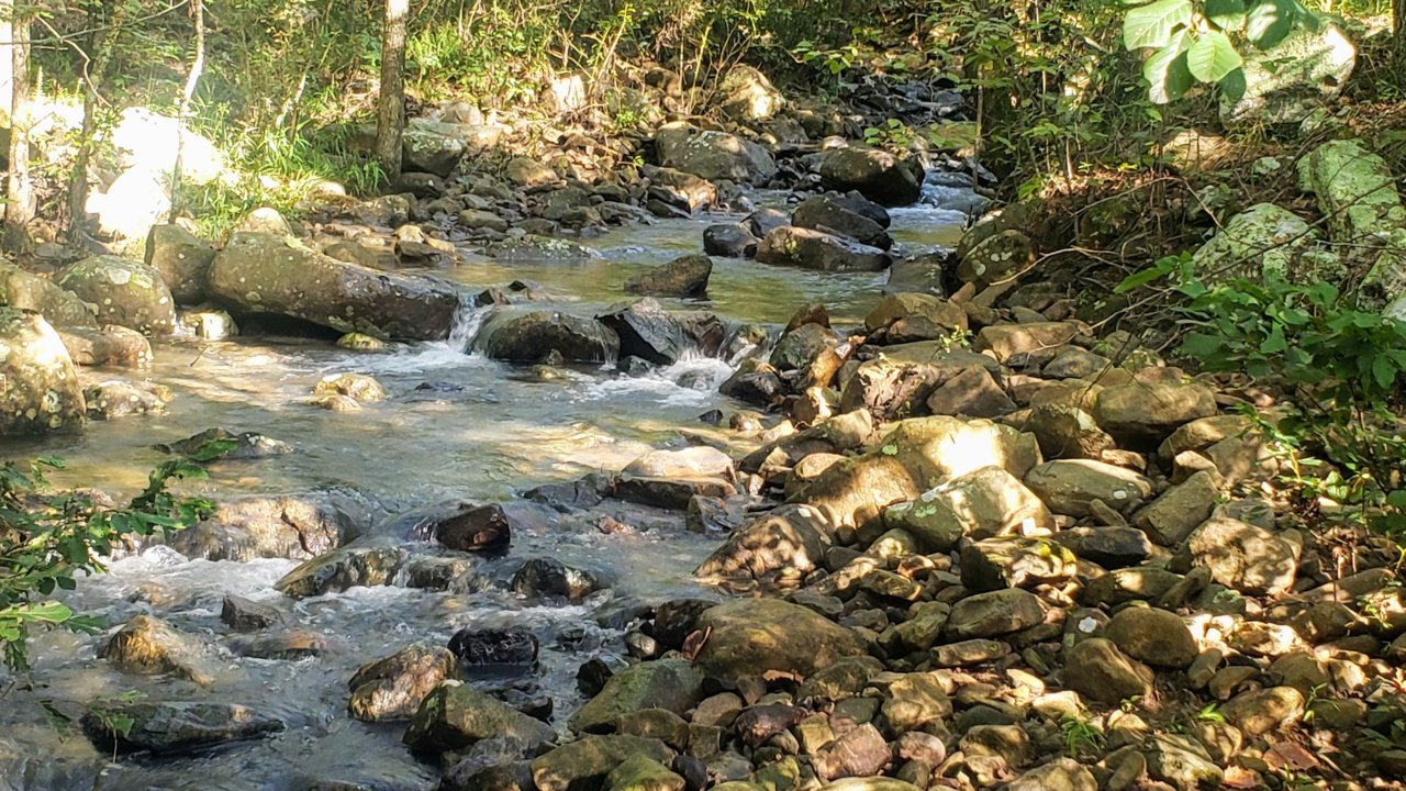 20200905_093205.jpg