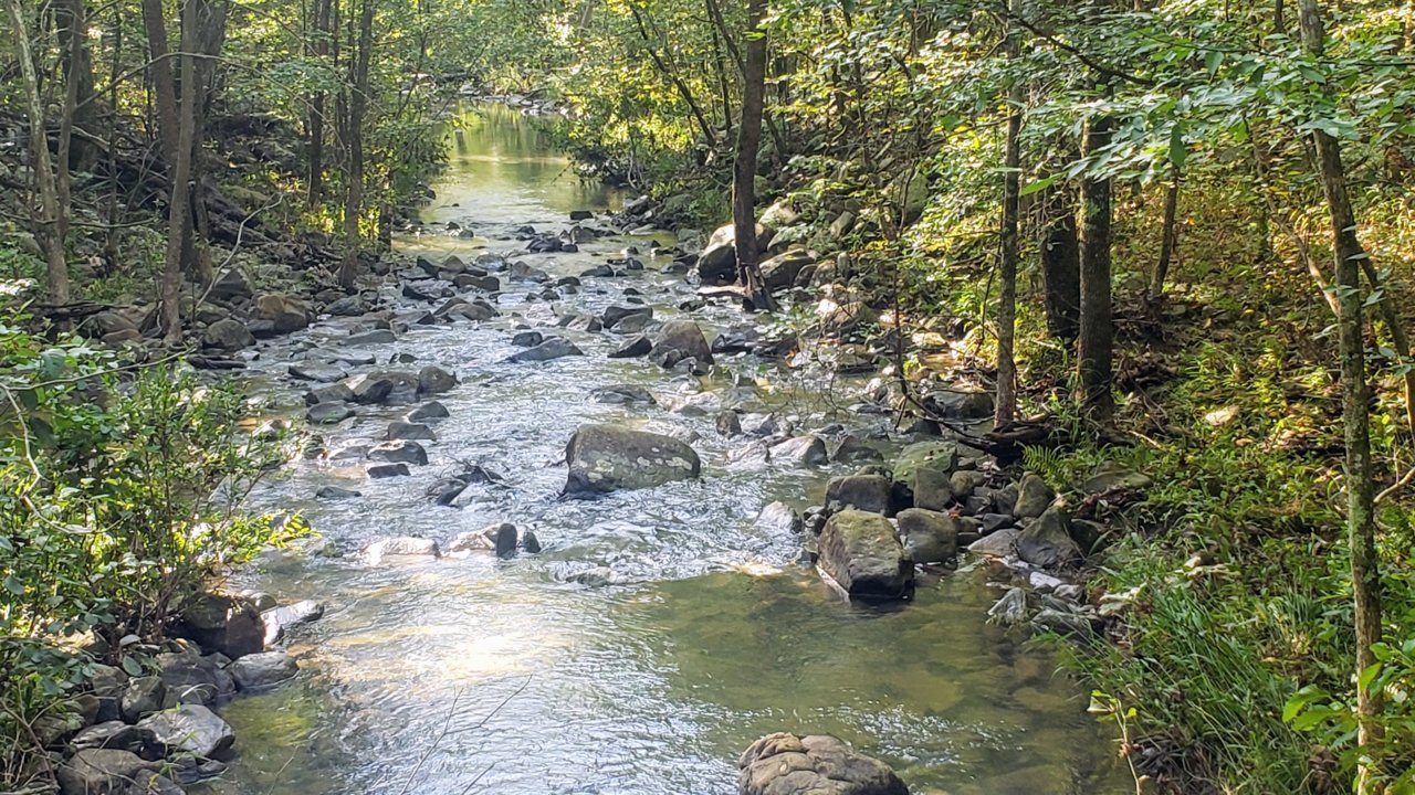 20200905_093221.jpg