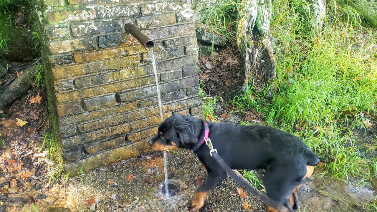 20200905_100901.jpg