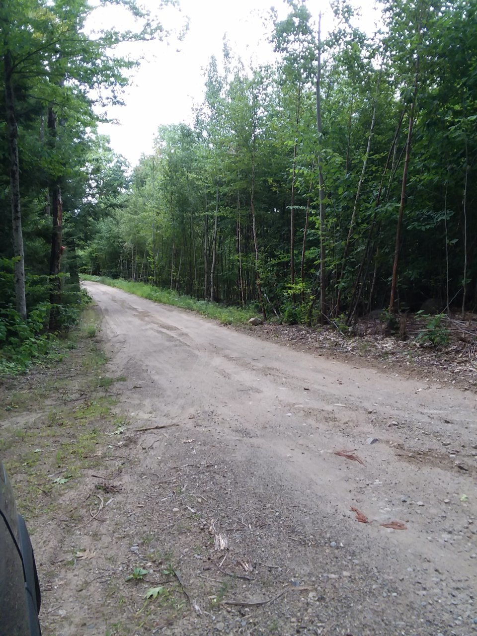 20200905_142044.jpg