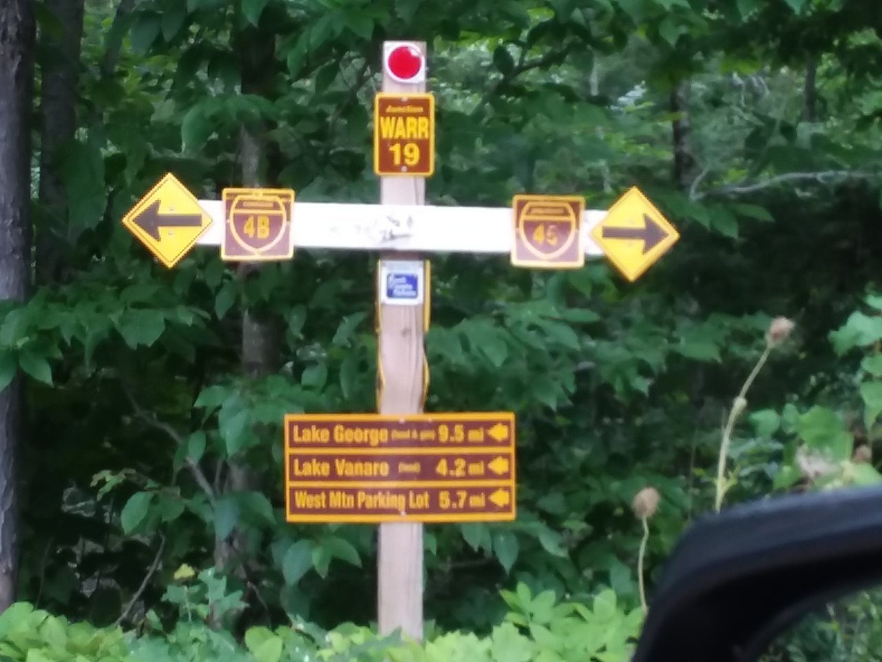 20200905_142955.jpg