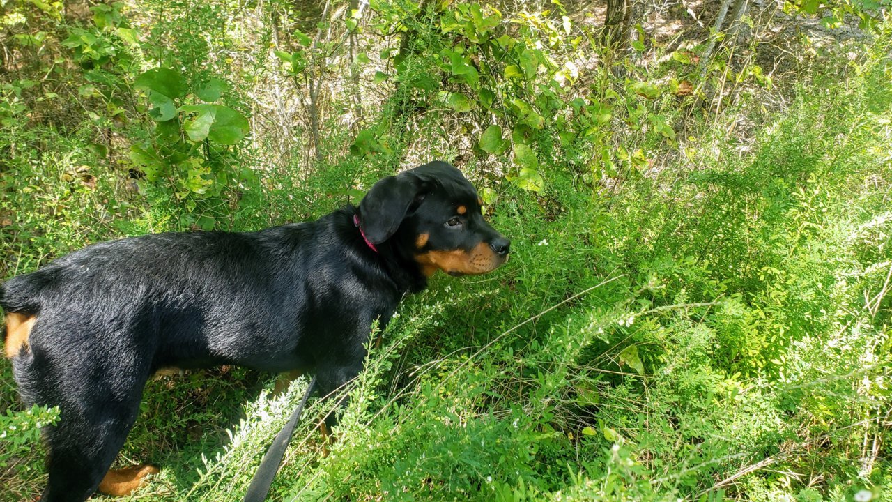 20200905_143447.jpg