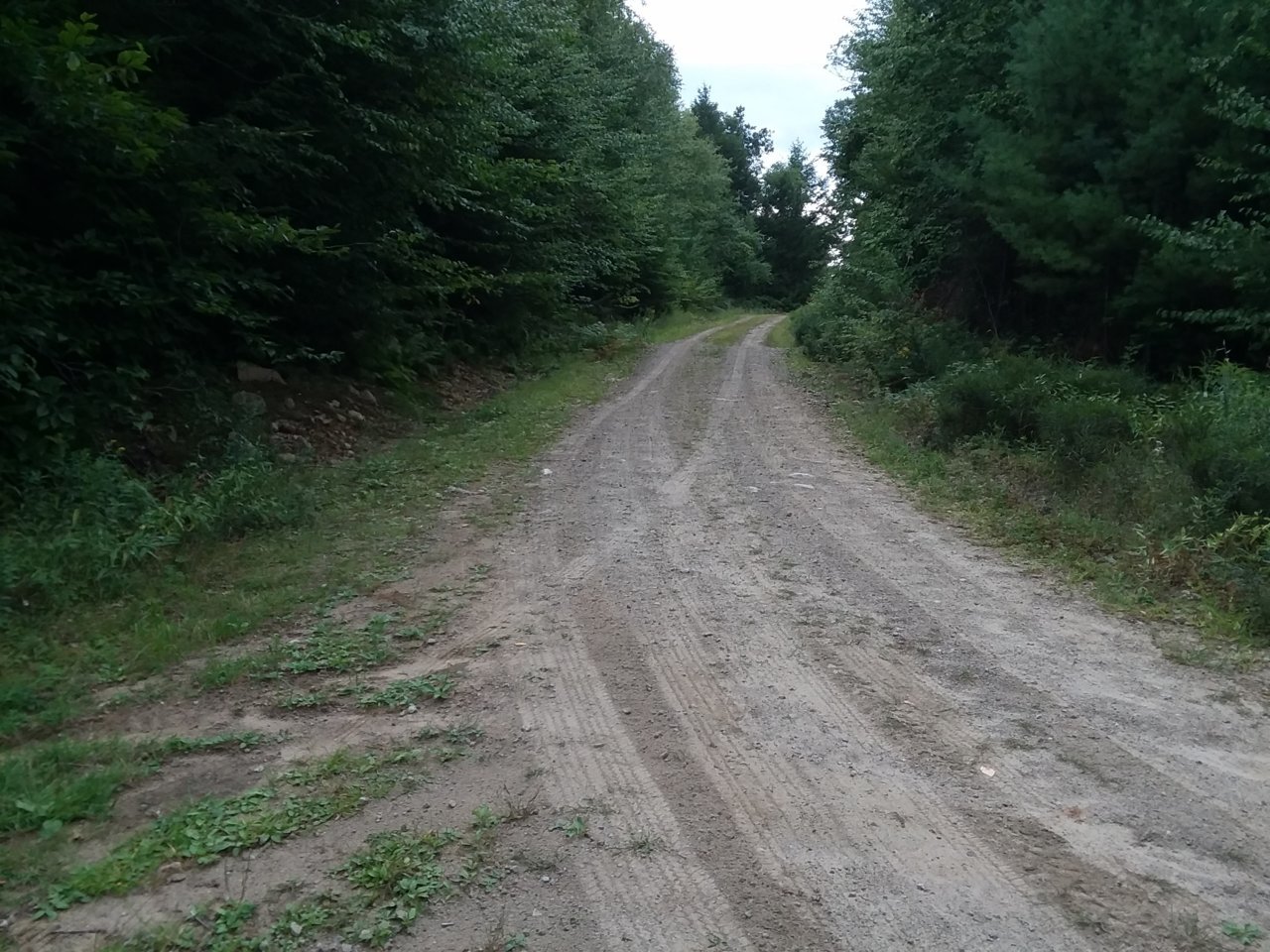 20200905_145603.jpg