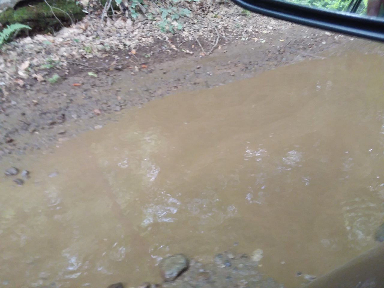 20200905_151607.jpg