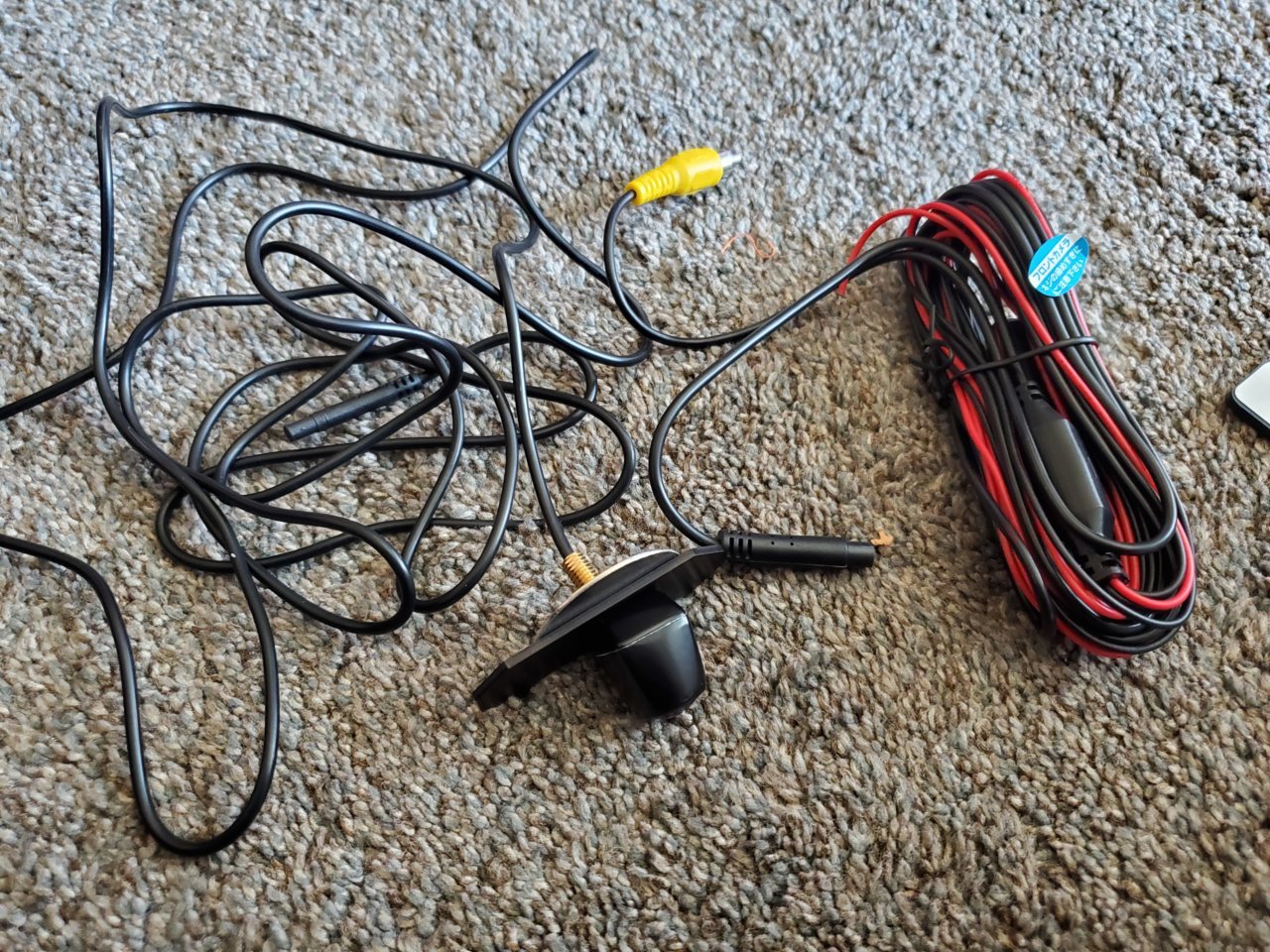 20200905_154205.jpg