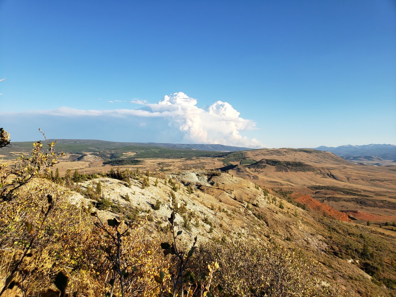 20200905_182304.jpg