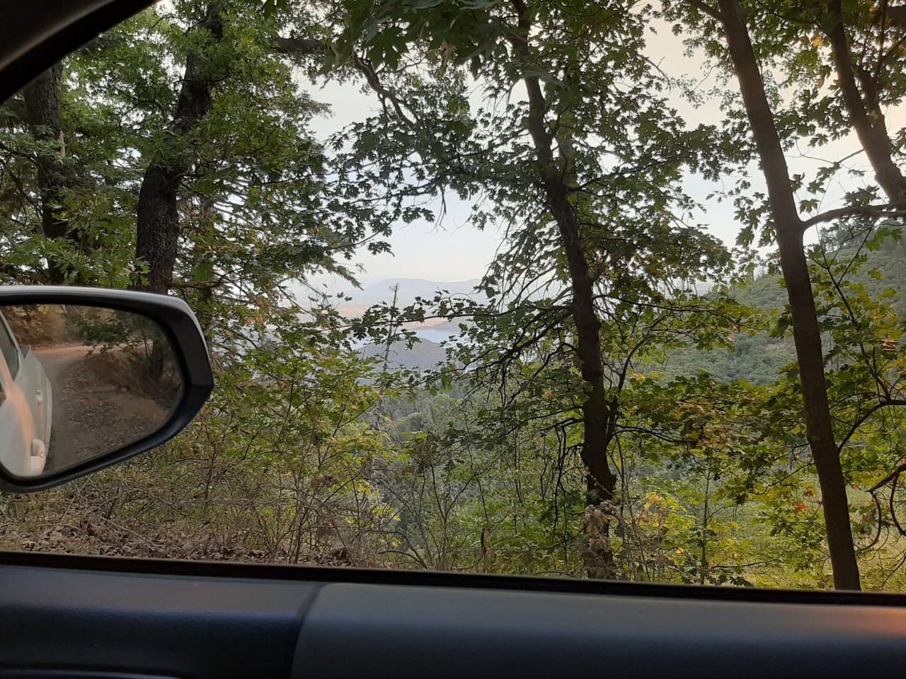 20200906_083302.jpg