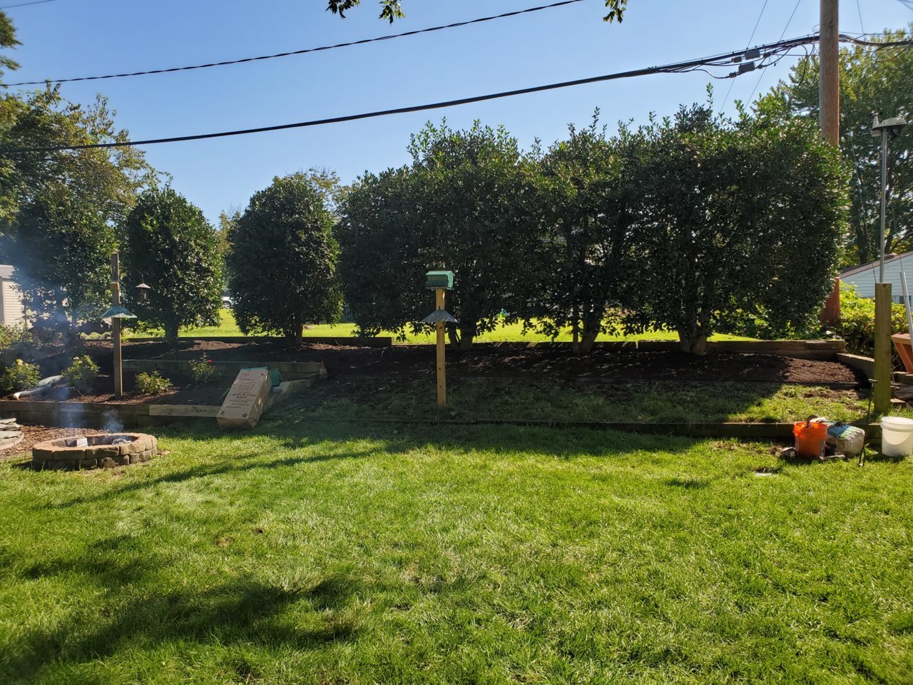 20200906_103550.jpg