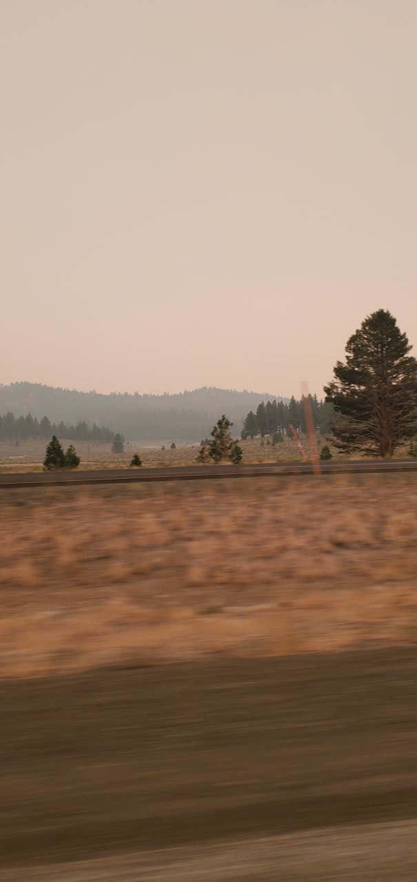 20200906_113240.jpg