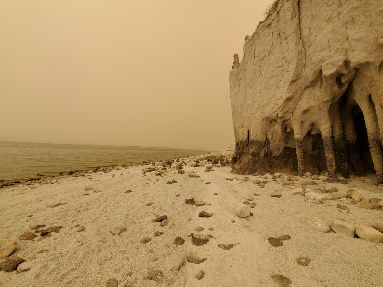20200906_123146.jpg