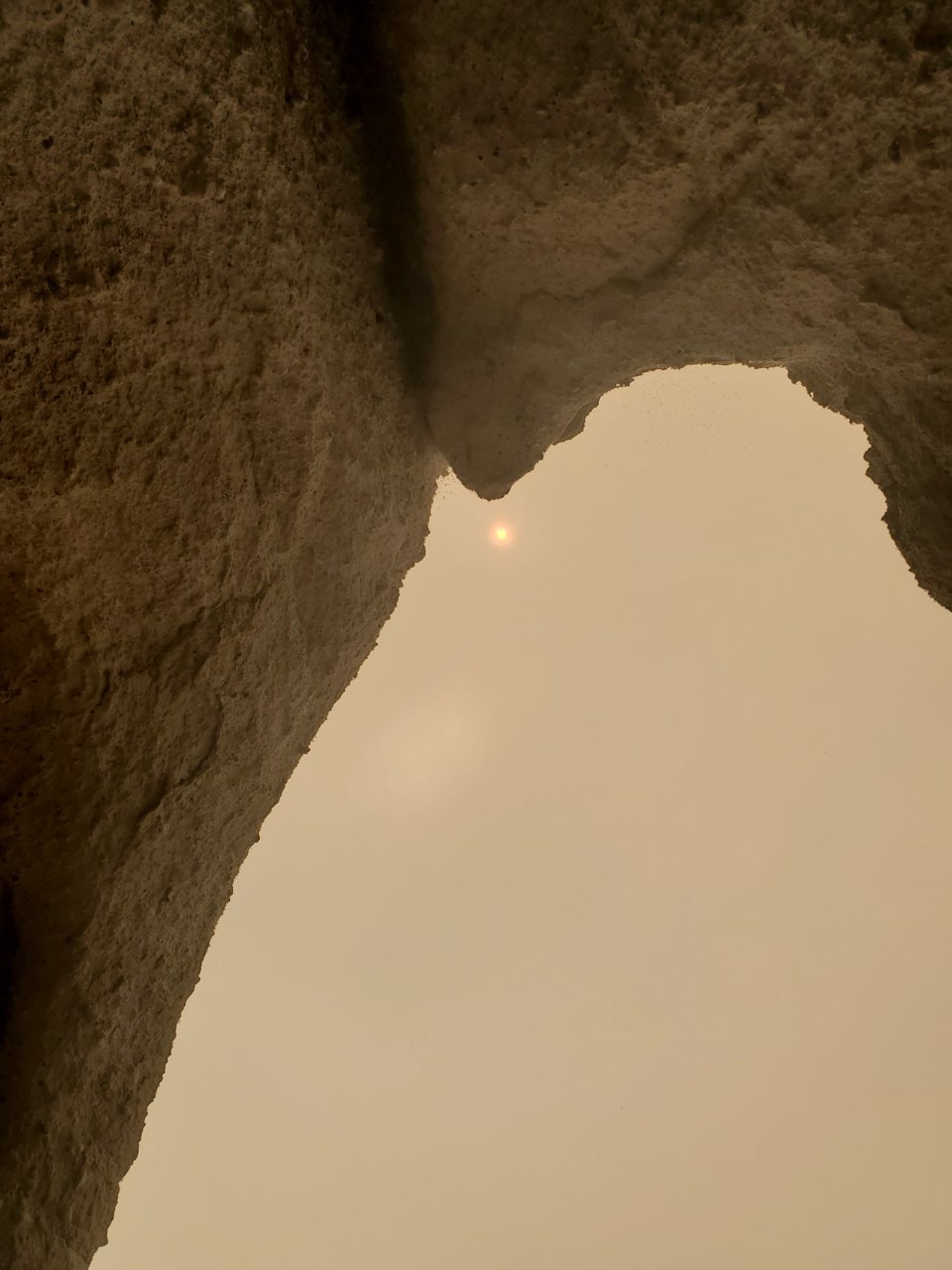 20200906_123659.jpg