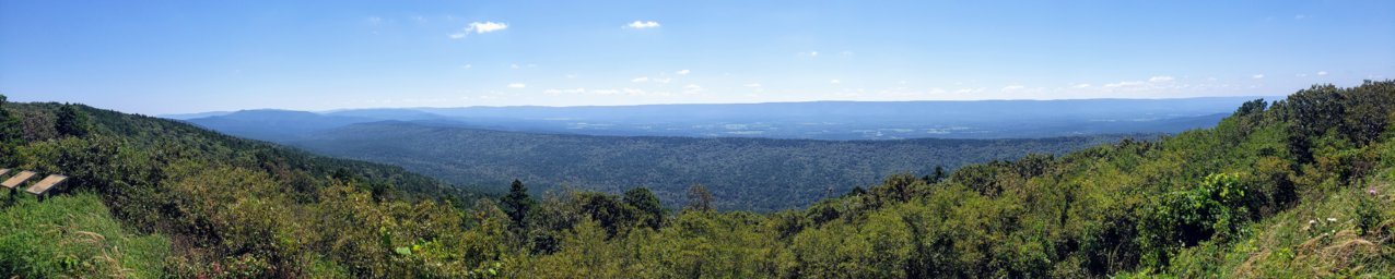 20200906_130329.jpg