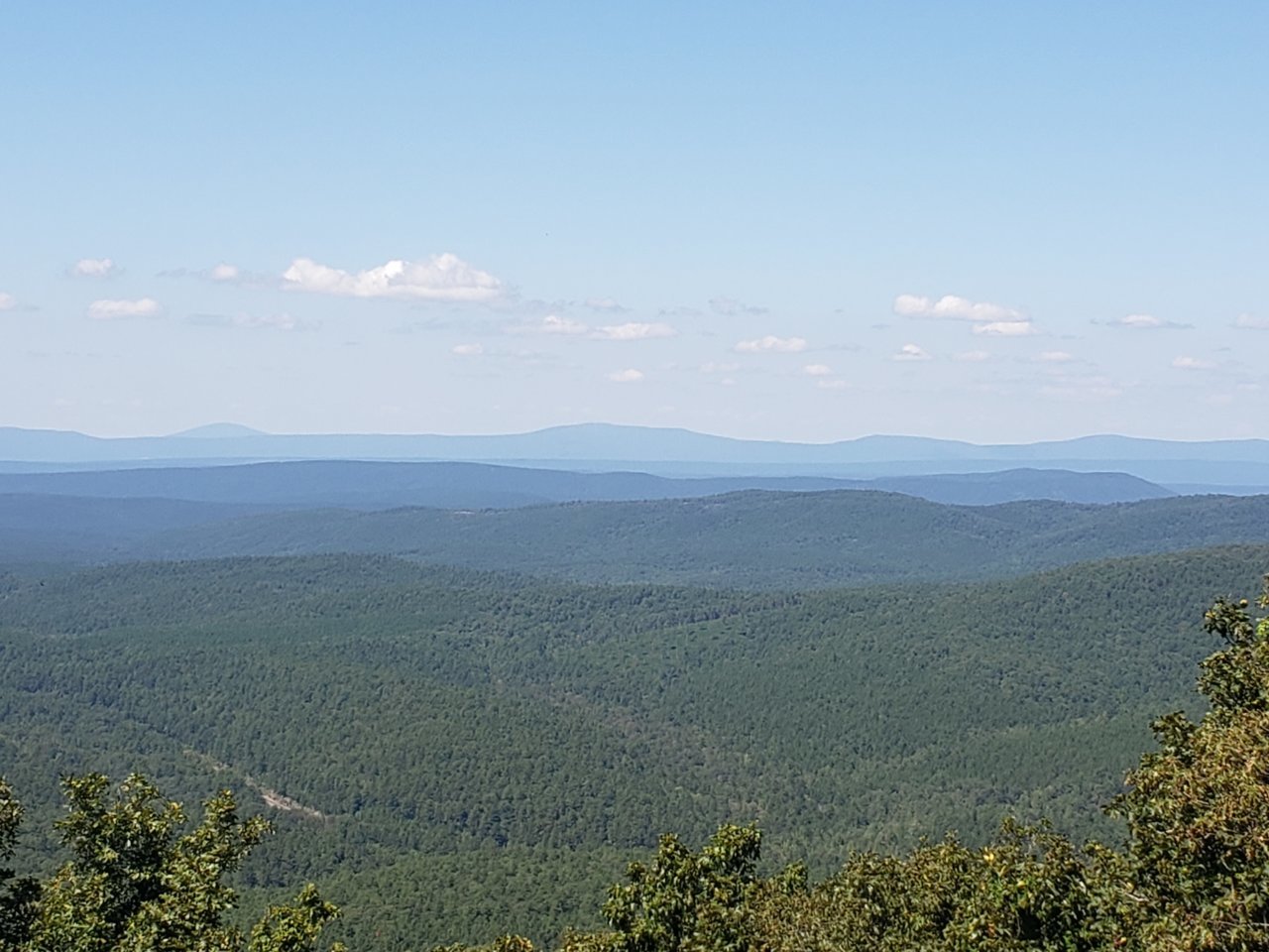 20200906_141603.jpg