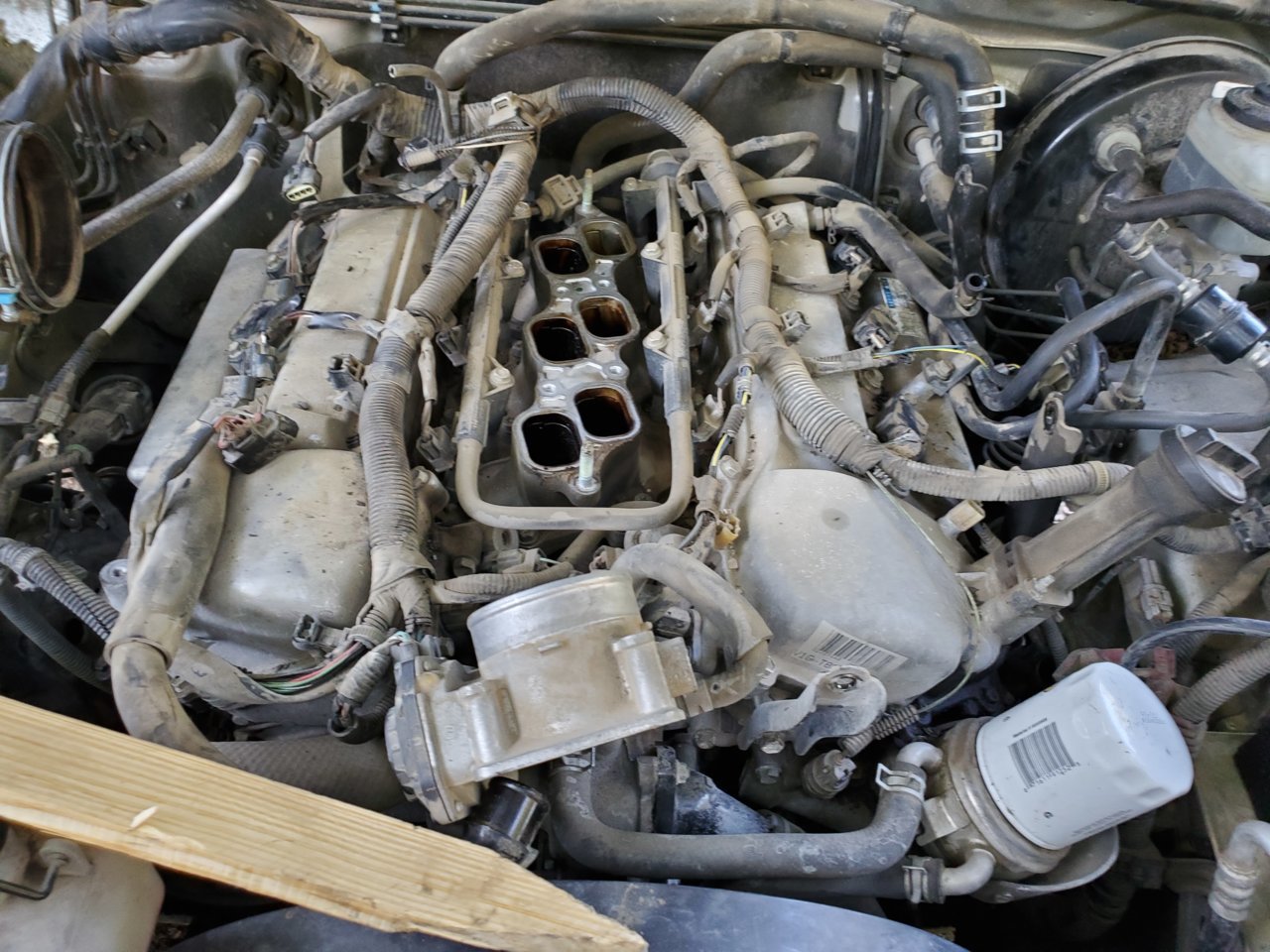 20200906_170334.jpg