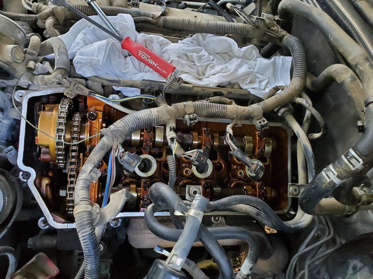 20200906_183152.jpg