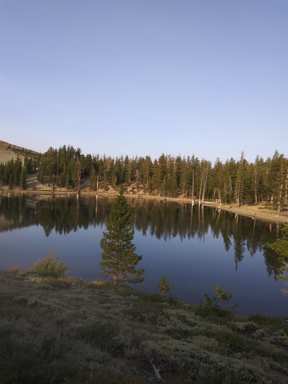 20200907_081959.jpg