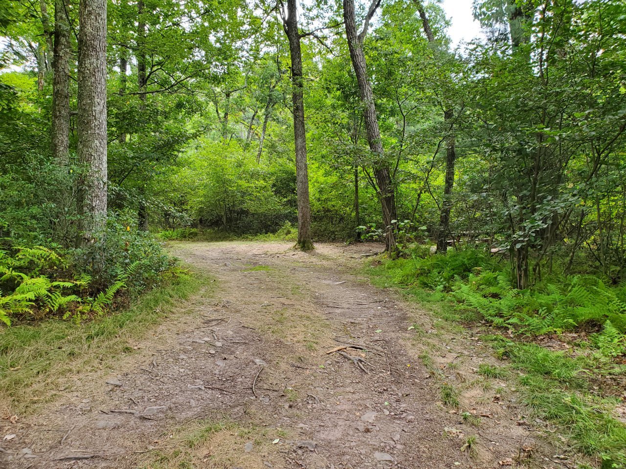 20200907_112253.jpg