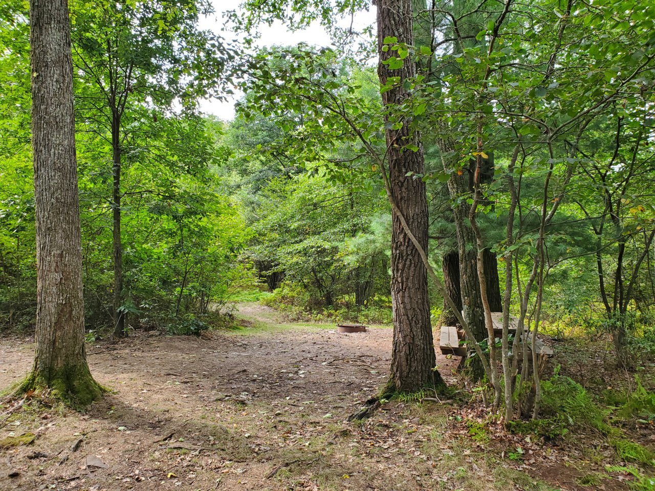 20200907_112307 (1).jpg