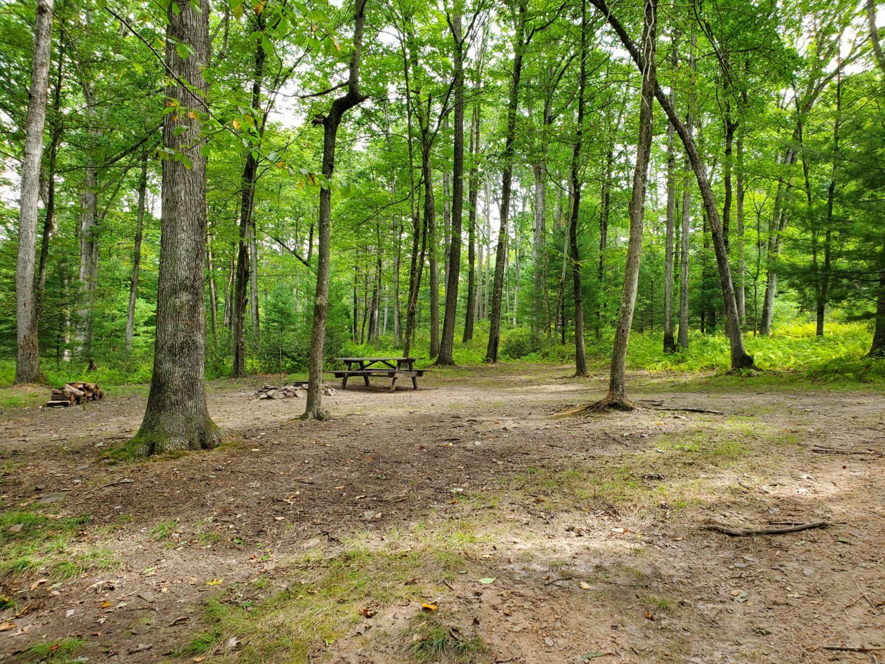 20200907_112703.jpg