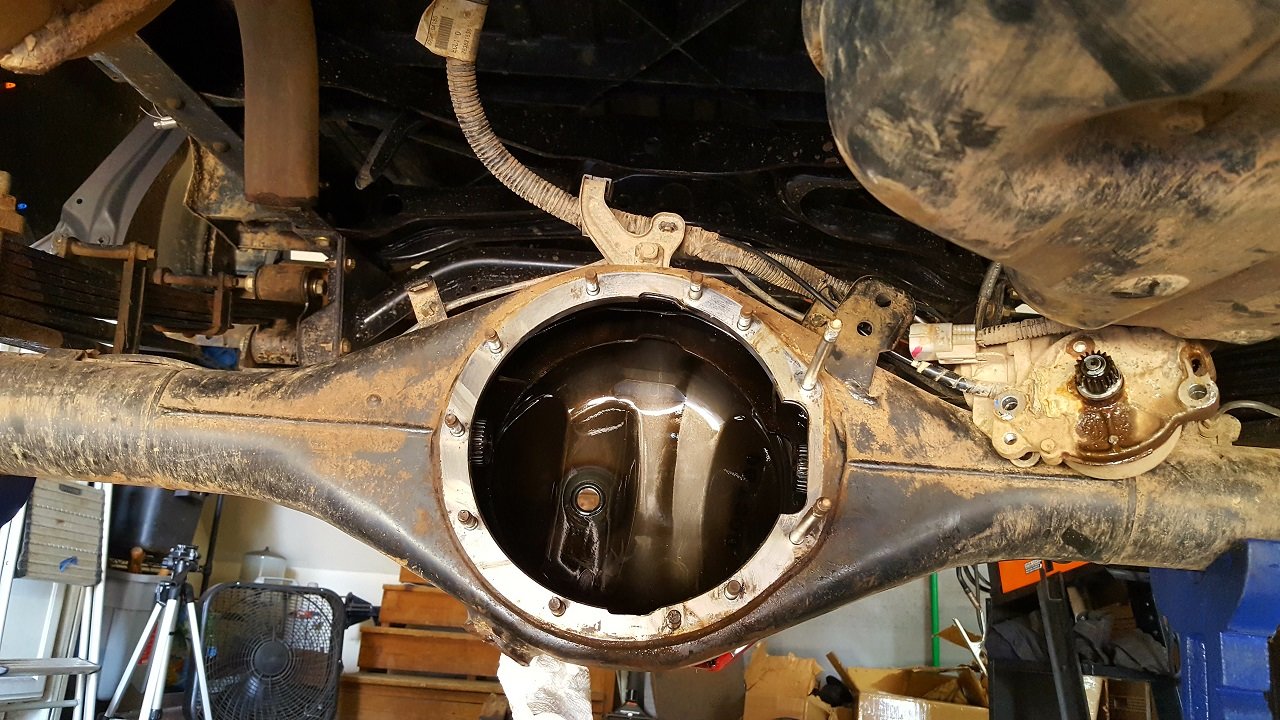 20200907_121139.jpg