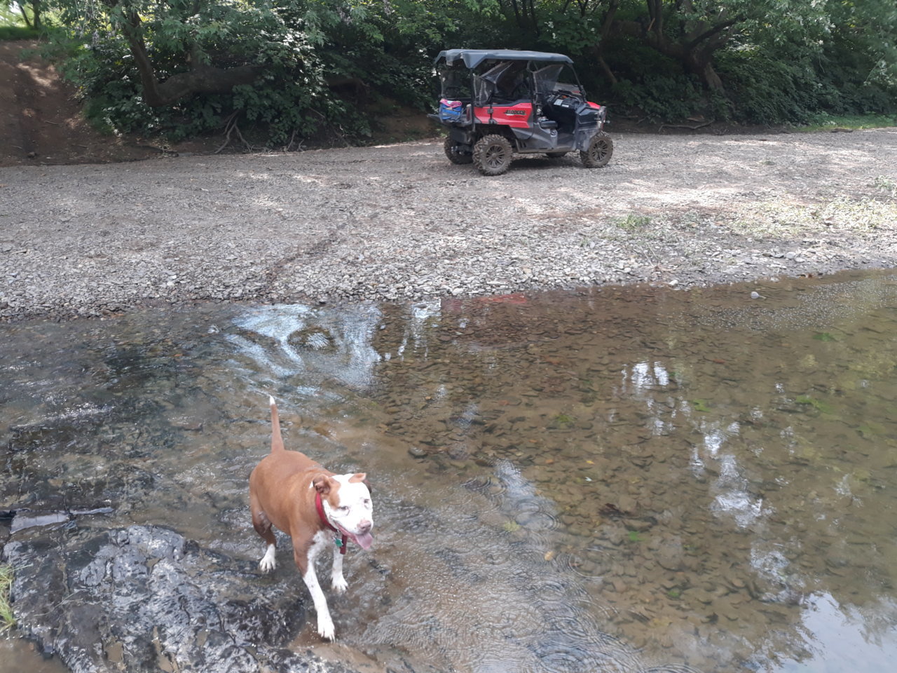 20200907_132708.jpg